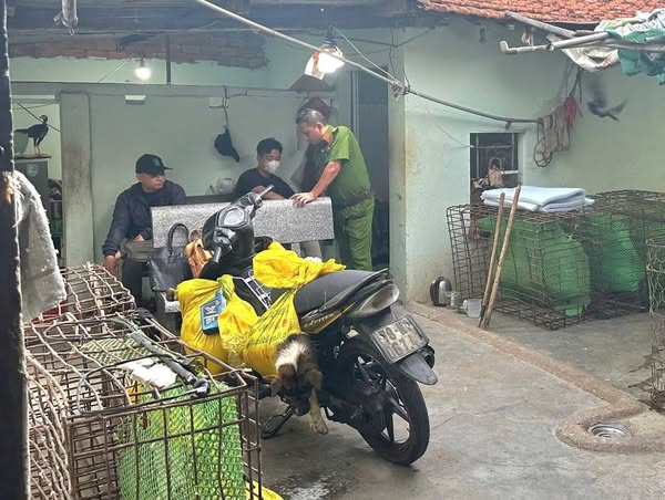 548220405_1180894134095887_8760599749309069757_n